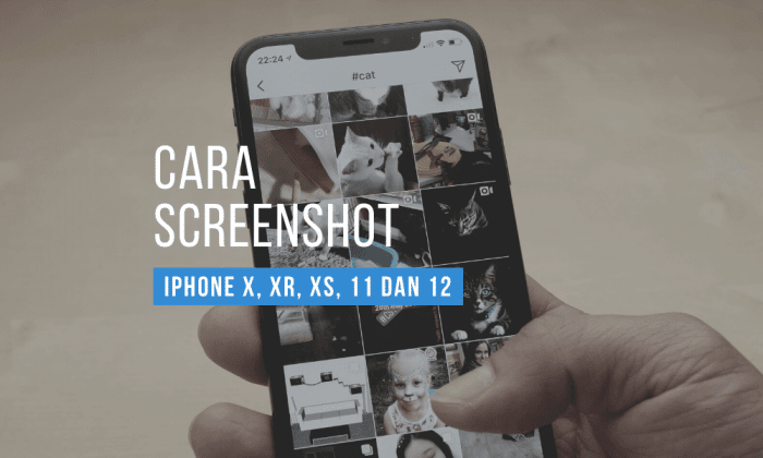cara screenshot iphone x